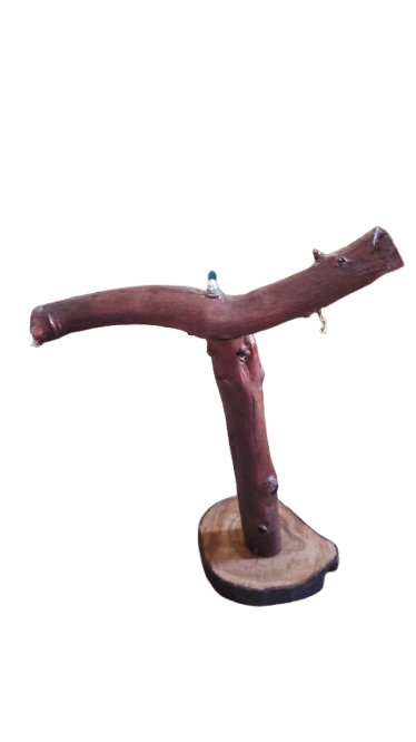 استاند ببغاء